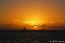 DSC_2005.jpg