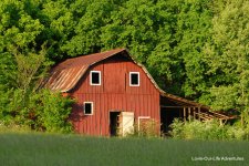 DSC_0192.jpg