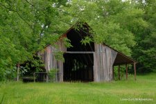 DSC_0203.jpg