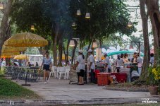market-2.jpg