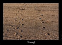 DSC_3940.jpg