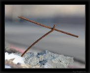 DSC_3899.jpg