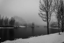 DSC_0270.jpg