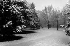 DSC_0276.jpg