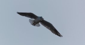 DSC_0293.jpg