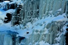 DSC_8482.jpg