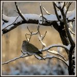 DSC_1658.jpg