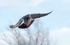 DSC_2570.jpg
