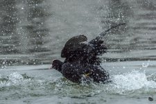 _DSC2691-2.jpg
