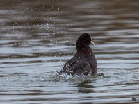 _DSC2697.jpg
