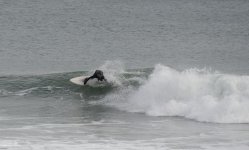 nose down_00003.jpg