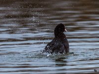 _DSC2697-3.jpg