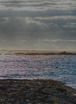 D7100 #3 K. Cove #4-Tamron HD2.jpg