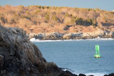 D7100 #3 K. Cove #4-Tamron HD8.jpg