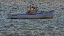 D7100 #3 K. Cove #4-Tamron HD1d.jpg