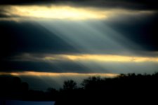 DSC_8526.jpg