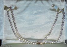 DSC00129-1.jpg