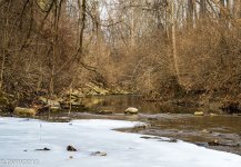 Fading Whiteness (1 of 1).jpg