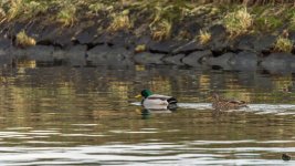 _DSC2762.jpg