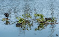 _DSC2870.jpg