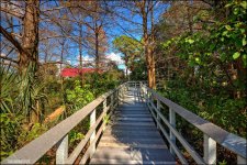 Tradewinds 1-21-15   12 hdr.jpg