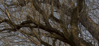 DSC_1593.jpg