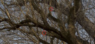 135512d1421903201-post-your-hidden-object-photos-dsc_1593.jpg