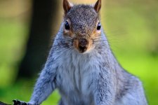 DSC_0094.jpg