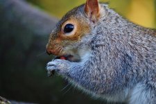 DSC_0111_01.jpg
