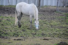 DSC_8746.jpg
