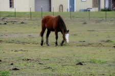 DSC_8738.jpg