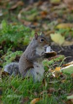 DSC_1226.jpg