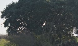 DSC_2807.jpg