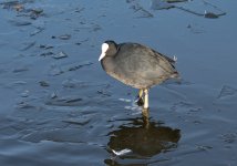 DSC_2788.jpg