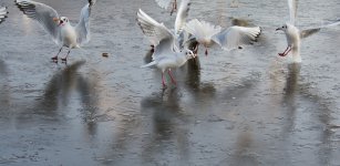 DSC_2719.jpg