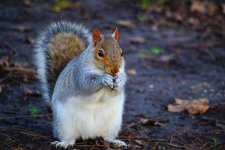 DSC_0083.jpg
