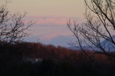 DSC_0545.jpg