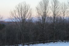DSC_0552.jpg