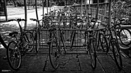 Bikes and Bikes and Bikes BW.jpg