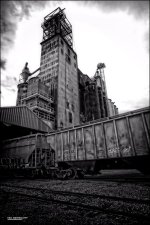Grafton Grain Cars BW.jpg