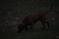 sooc.jpg