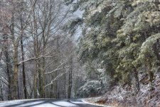 _DSC5404-Edit.jpg