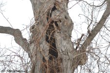DSC_0964.jpg