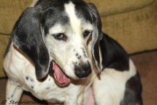 DSC_5913.jpg