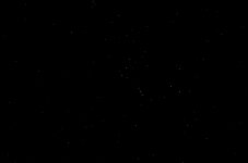 24th Jan 2015 068.JPG