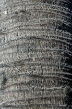 D71_2543.jpg