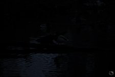 _DSC3874-3.jpg