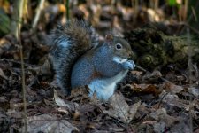 DSC_0323.jpg