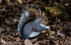 DSC_0330.jpg