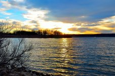 DSC_0394.jpg